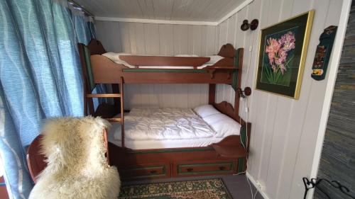 a dog sitting in a room with bunk beds at Suigard Veslestugo in Sauland