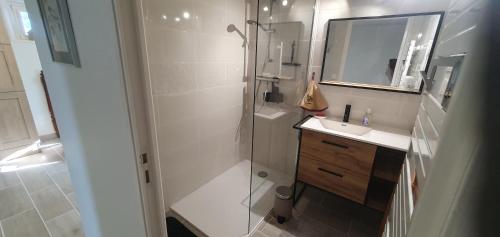a bathroom with a shower and a sink and a mirror at Rosabelle in Beaulieu-sur-Dordogne