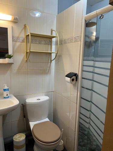 a bathroom with a toilet and a glass shower at lagon studio ermitage in Saint-Paul