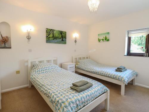 a bedroom with two beds and a window at Lowbrook Cottage in Diss