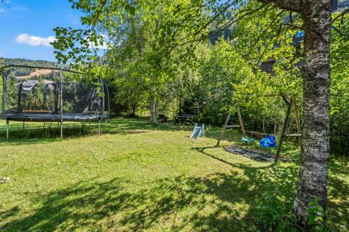 a park with a swing and a playground at Großer Garten mit Grill,-Spiel und Sitzmöglichkeiten-umgeben von schöner Natur-Ferienhaus Albmatte in St. Blasien