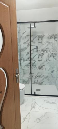 a bathroom with a toilet and a glass shower at Vila Ciciou in Negreşti-Oaş