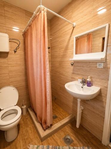 a bathroom with a toilet and a sink at Apartman Milica in Kremna