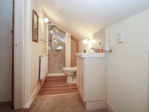 a bathroom with a toilet and a sink and a shower at Green Farm Stables in Ashbourne