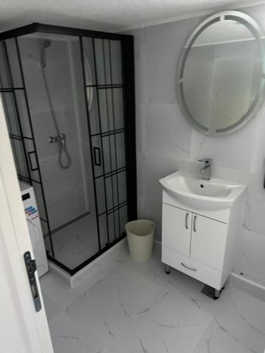 a bathroom with a shower and a sink and a mirror at Sarajevo Days in Binježevo