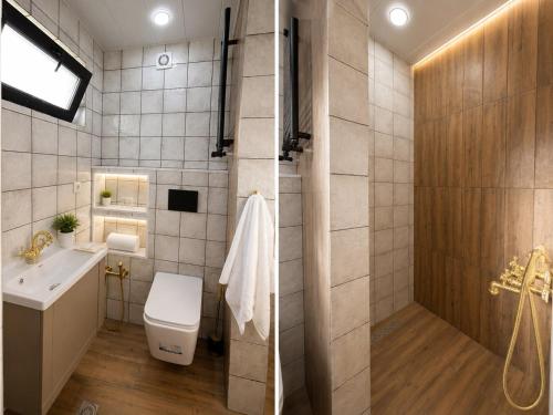 a bathroom with a toilet and a sink and a shower at Cherry Guesthouse in Tsalka