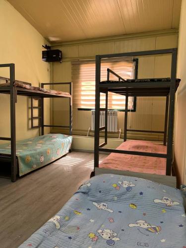 a room with three bunk beds and a rug at Mezbon in Termiz