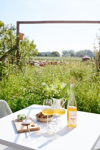 a bottle of wine and two glasses on a table at De Volle Maan - Lentehuis in Sint-Lievens-Houtem