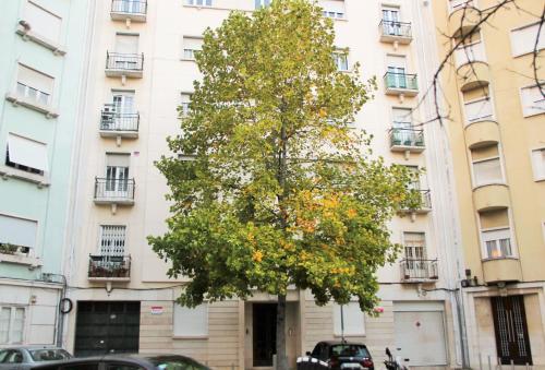 Casa da Praceta