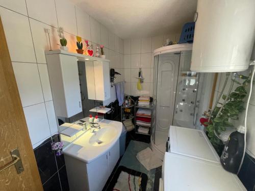 a bathroom with a sink and a shower at Restful Garden Apartmants in Sarajevo