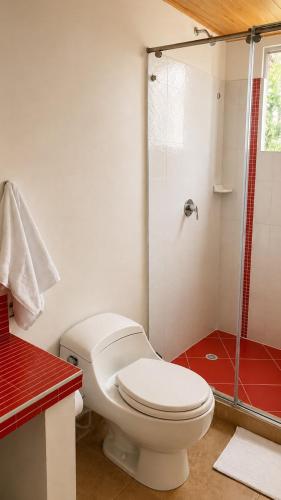 a bathroom with a white toilet and a shower at HOTEL NATIVOS in La Vega