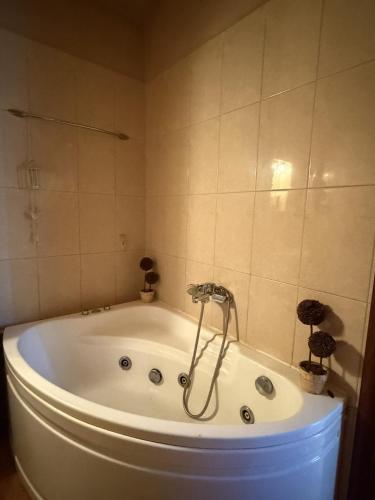 a bath tub with a shower in a bathroom at Kali's home in Komotini