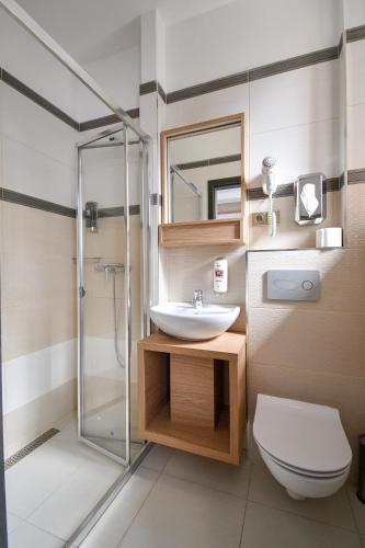 a bathroom with a sink and a shower and a toilet at Hotel Slezská in Muglinov