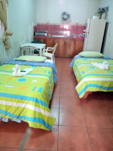 two beds sitting next to each other in a room at Hostal Miconia in Puerto Ayora