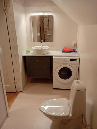a bathroom with a toilet and a sink and a washing machine at Seeblickwohnung Aäng 6 Pool, Billard in Mjöhult