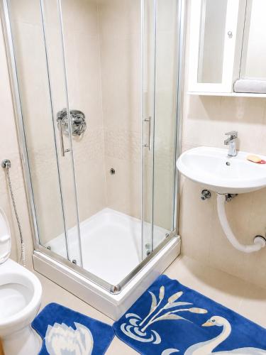 a bathroom with a shower and a toilet and a sink at Apartment Lake Oasis ''Oko'' in Krnjice