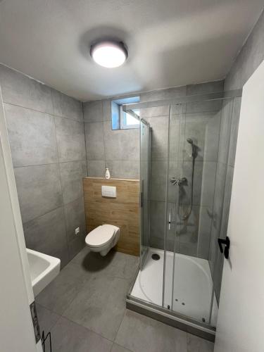 a bathroom with a shower and a toilet and a sink at Hakro Jevisovka in Jevišovka