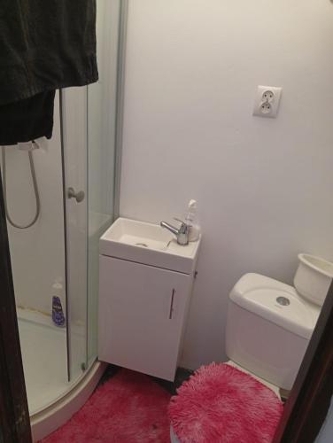 a bathroom with a toilet and a sink and a shower at Sercowe Zacisze in Chełmża