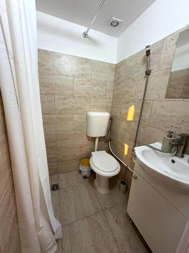 a bathroom with a toilet and a sink at Cabanele din livadă in Corbi
