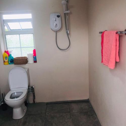 ein Badezimmer mit Toilette, Fenster und Dusche in der Unterkunft Lakeside view in Galway