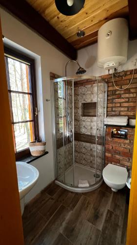 a bathroom with a shower and a toilet and a sink at Domek 2-3 osobowy in Lejno