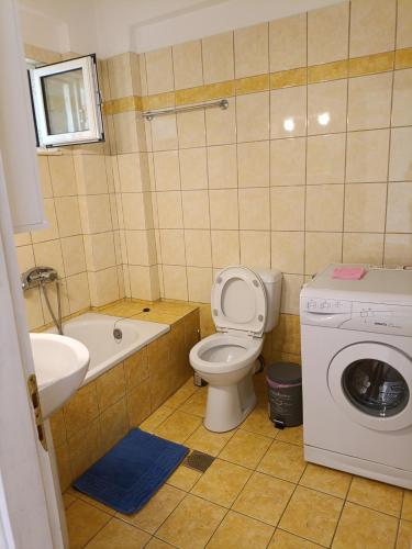 a bathroom with a toilet and a washing machine at Armonia Nakas in Yénion