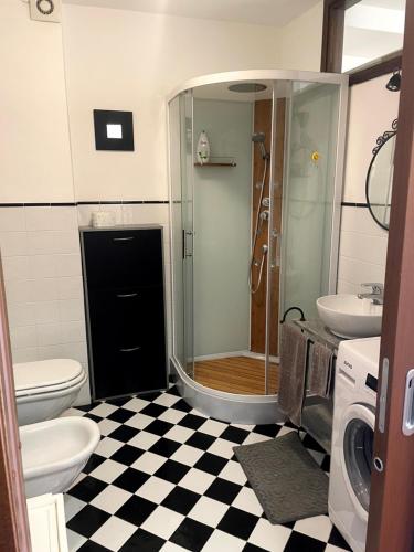 a bathroom with a shower and a toilet and a sink at Bilocale fronte lago in Lovere
