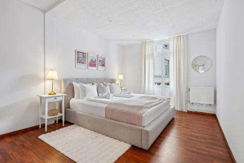 Spacious Apartment in Central Luzern