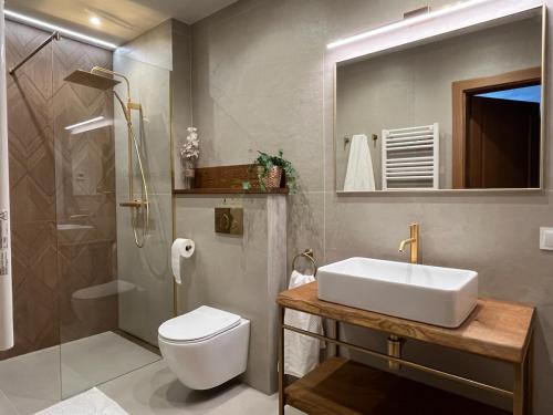 a bathroom with a toilet and a sink and a shower at Furdasówka in Szczawnica