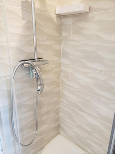 a shower with a shower head in a bathroom at Cocon lumineux Euratech-CHU in Lille