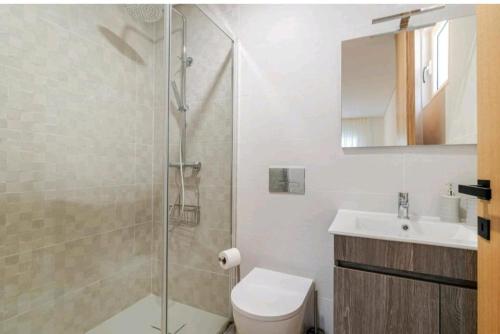 a bathroom with a shower and a toilet and a sink at Serração House in Rio Caldo