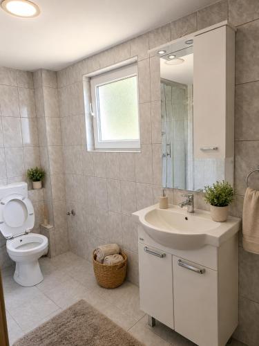 a bathroom with a toilet and a sink and a mirror at Nature Bliss Villa in Sarajevo