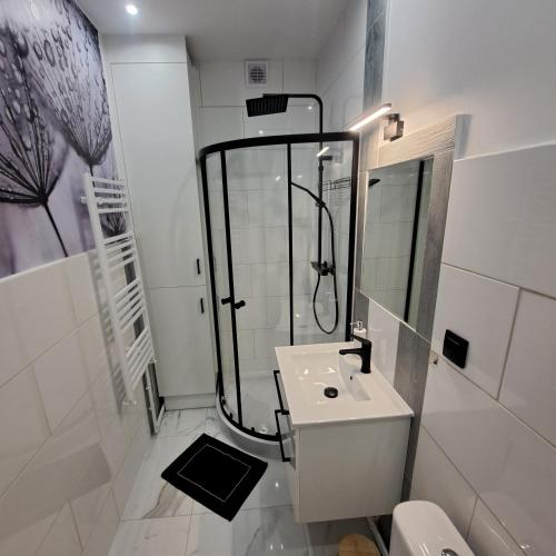 a white bathroom with a shower and a sink at Noclegi Piastów 25 in Nowa Ruda