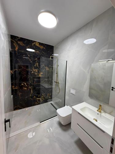 a bathroom with a shower and a toilet and a sink at Golden Sky Residence in Satu Mare