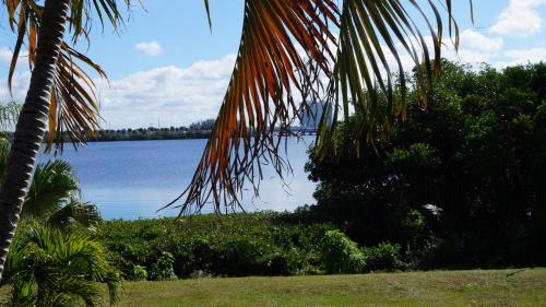 a view of a body of water with a palm tree at Riverview Inn in North Fort Myers