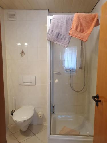 a bathroom with a shower with a toilet and a sink at Hotel Gasthaus zur Krone in Gochsheim