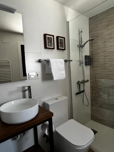 a bathroom with a toilet and a sink and a shower at Caneliña in Ourense
