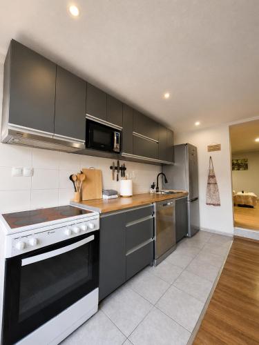 a kitchen with stainless steel appliances and black cabinets at Villa Risteski Ohrid in Ohrid