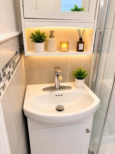 a bathroom with a sink and two potted plants at Your own home in Toronto