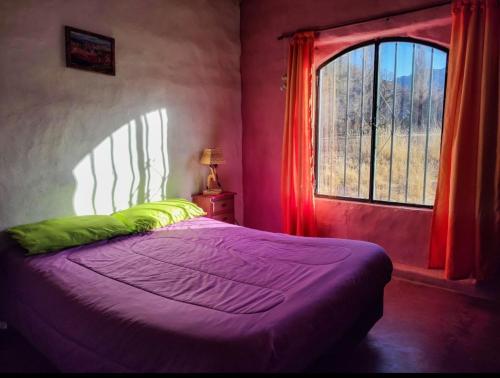 a bedroom with a bed and a window with red curtains at Cabañas Rurales HLS in Senador Pérez