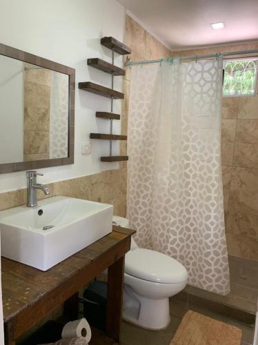a bathroom with a sink and a toilet and a shower at Casa Roraima in San Antonio