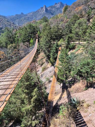 a suspension bridge in the mountains with trees at Chalet Niquel in Mineral del Chico