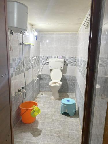 a bathroom with a toilet and a shower at Siddhartha homevibes hampi in Hampi