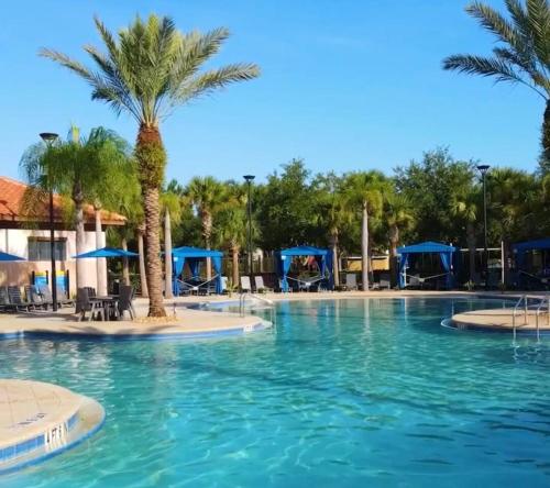 Lilo & Stitch themed l Near Disney l Solterra Resort photo 97
