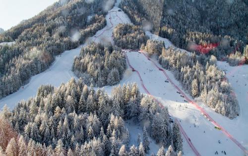 an aerial view of a snow covered mountain with trees at Apartma Smole in Kranjska Gora