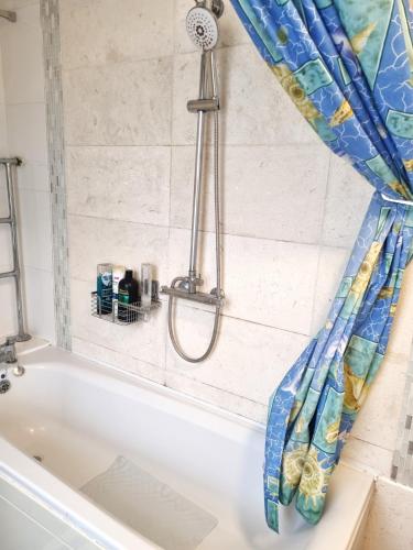 a shower in a bathroom with a tub at The Witterings Bed and Breakfast in Chichester