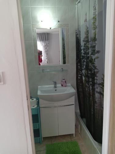 a bathroom with a sink and a mirror and a shower at Leśny Domek in Bystrzyca Kłodzka