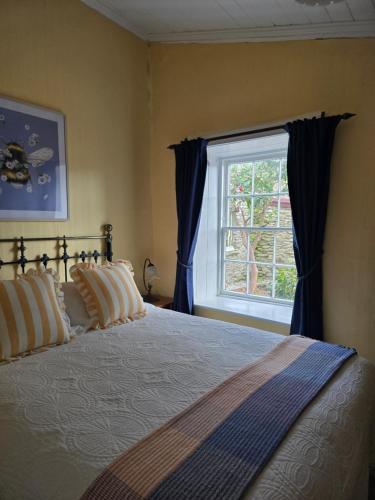 a bedroom with a bed with blue curtains and a window at Dalton's Deed in Roxburgh