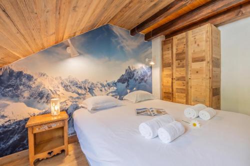Cristal in the heart of Chamonix Mountain view for 6