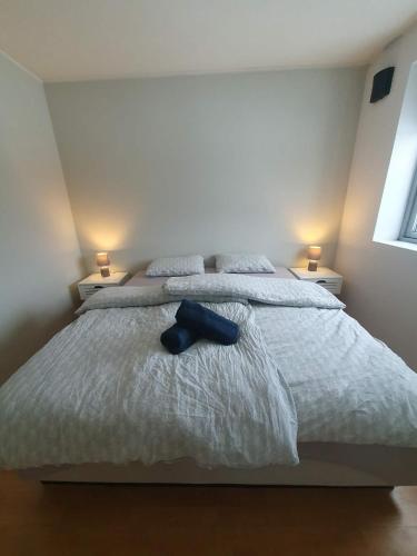 a bedroom with a bed with a blue object on it at Great villa with amazing view in Tromsø
